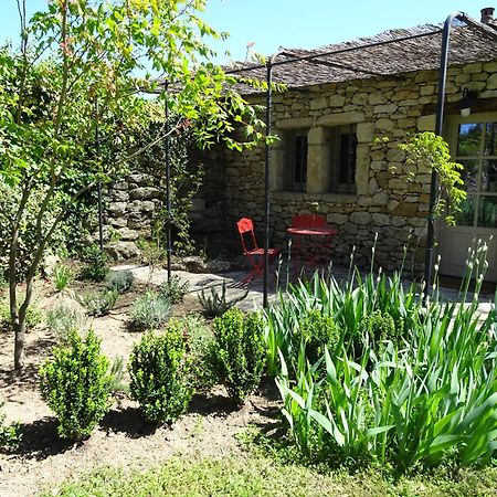 Les Olivettes Le Mazet Bed & Breakfast Uzès Dış mekan fotoğraf